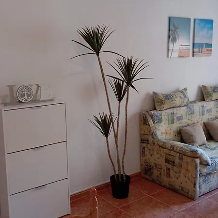 Appartement En Torrevieja